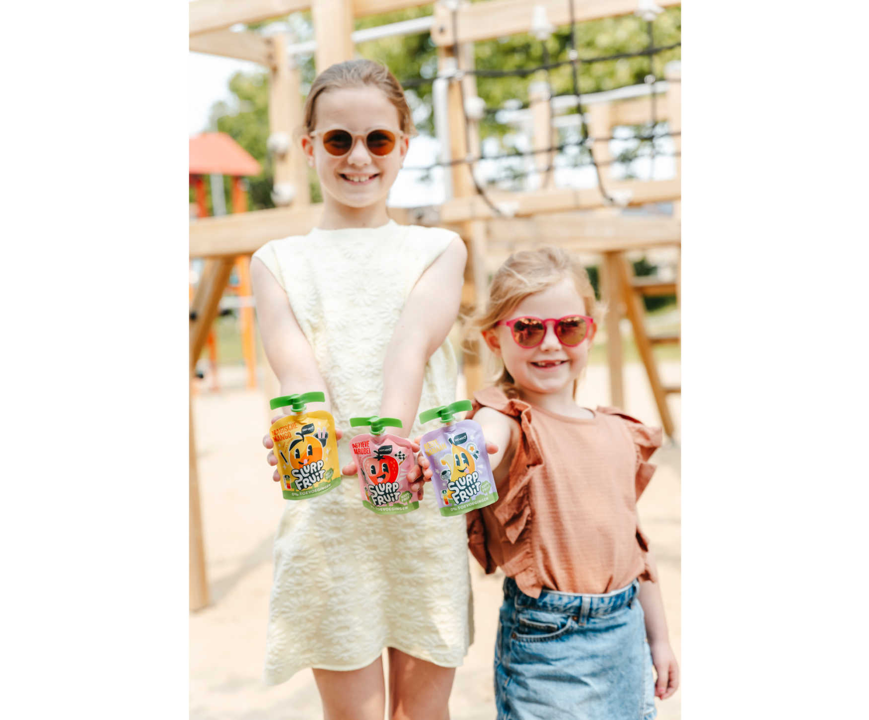 WELKOM IN DE WERELD VAN SERVERO